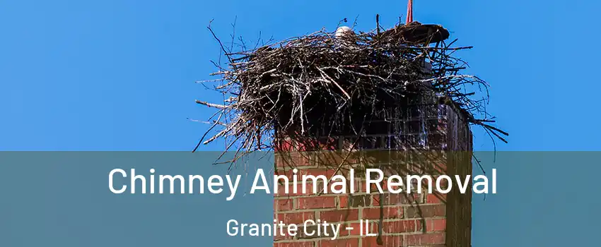 Chimney Animal Removal Granite City - IL
