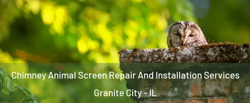  Chimney Animal Screen Repair And Installation Services Granite City - IL