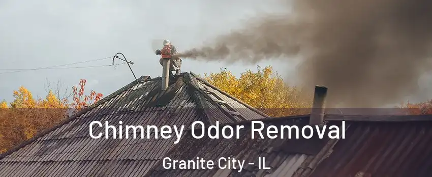  Chimney Odor Removal Granite City - IL