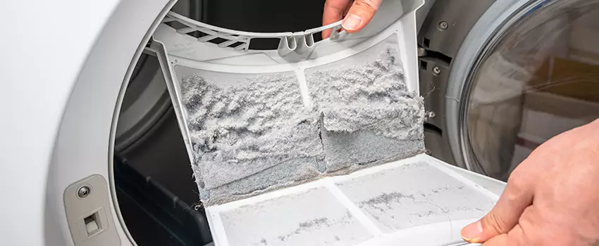 Best Dryer Lint Removal Company in Granite City, Illinois
