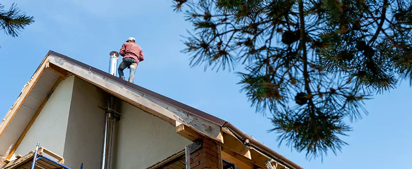 Birds Removal Contractors from Chimney in Granite City, IL