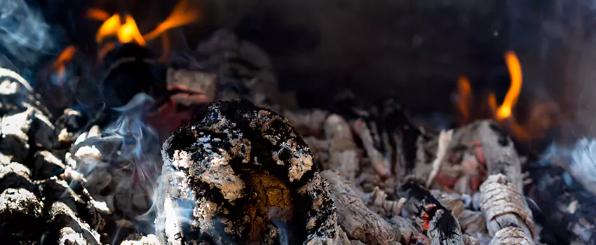 Creosote Removal Experts in Granite City, IL